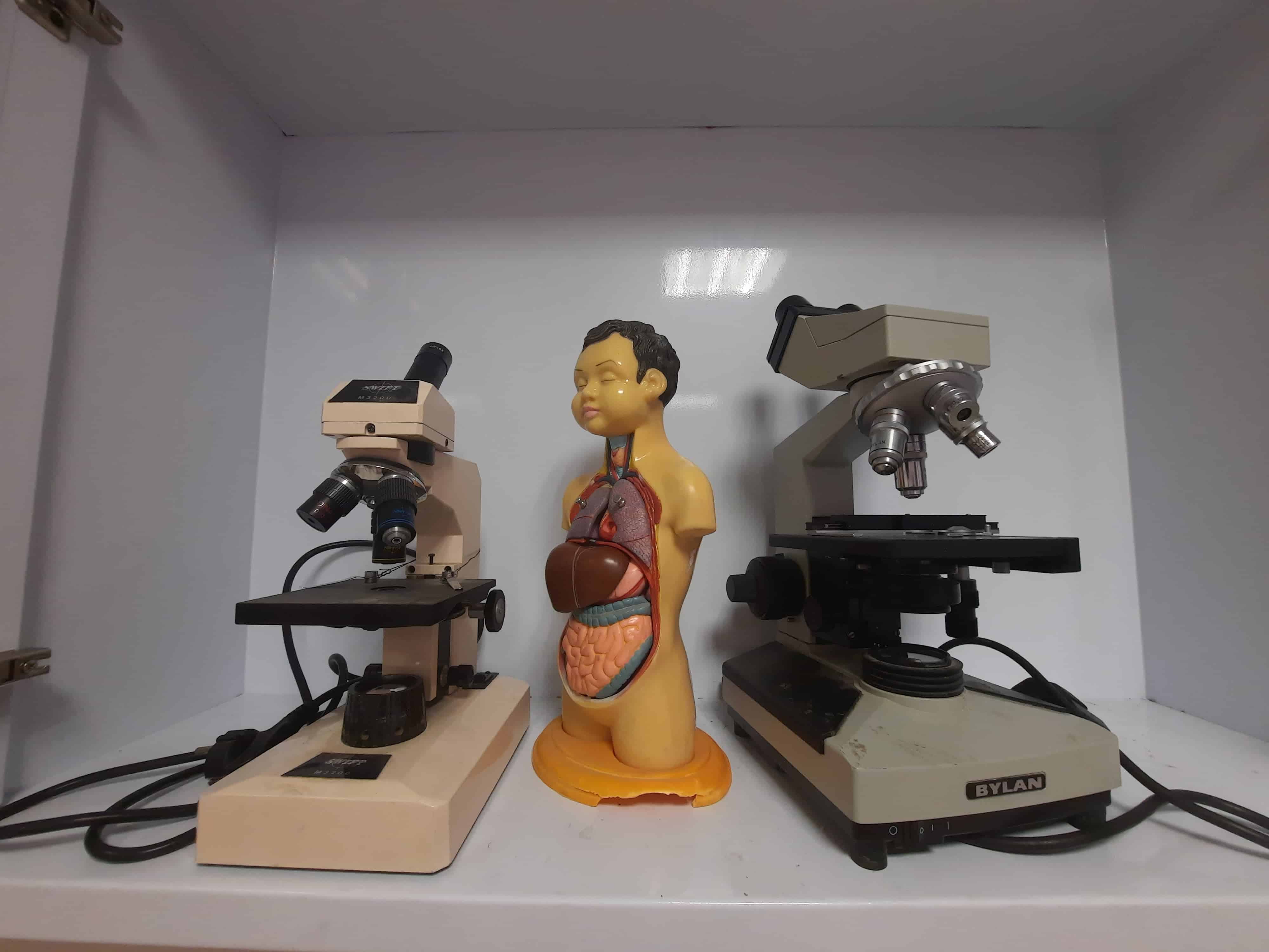 تصاویری از محیط مدرسه